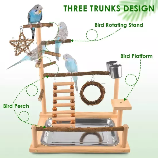 KATUMO Bird Playground Perch Stand Natural Parrot Playstand 