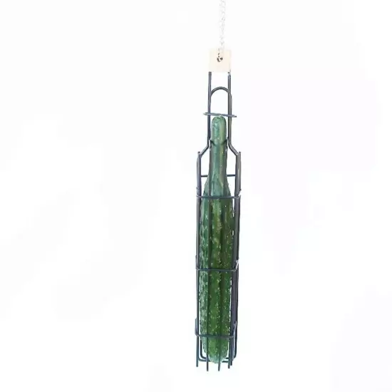 Bird Feeder Cylindrical Cage Container Outdoor Wild Birds Parrot Feeding