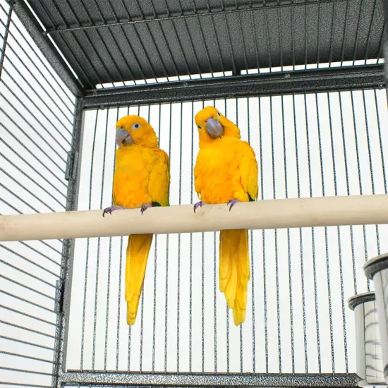 61" Large Bird Cage Large Play Top Parrot Finch Cage Cockatiel Cockatoo Play Top