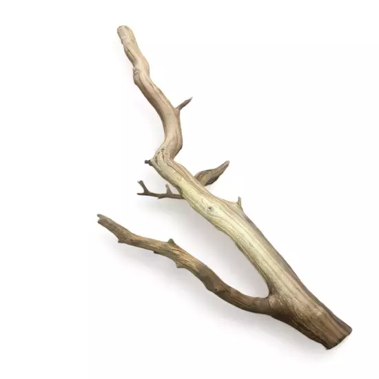 Manzanita Driftwood Branch Set for Aquarium & Reptile, Terrarium Decor