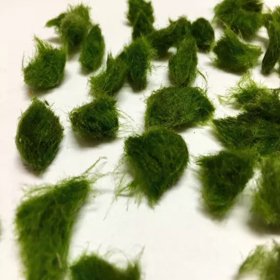 Marimo Moss 100 Pieces 0.25-0.5 inch Cladophora Live Plant Aquarium in USA.