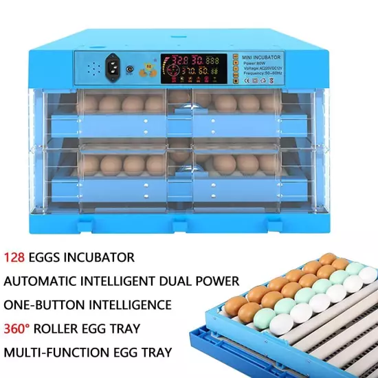 Auto Egg Incubator with Automatic Egg Turning and Humidity & Temperature Control