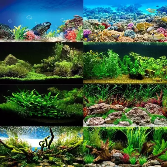 Aquarium Background Sticker Fish Tank Underwater Landscape Poster Decoration AU