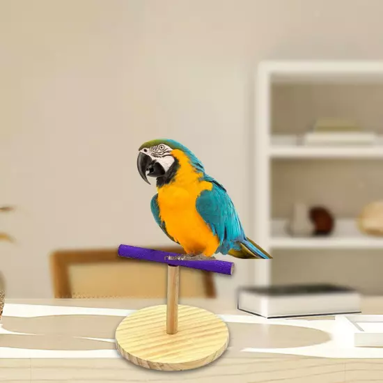 Tabletop Bird Stand Portable Gym Shelf Training Stand Perch