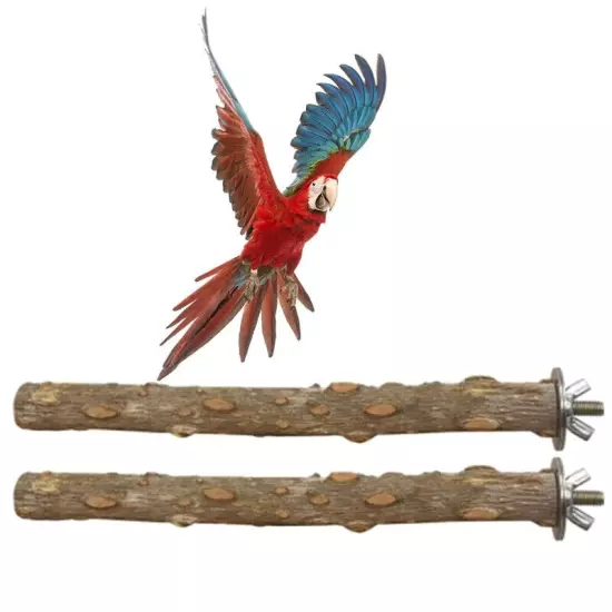 Bird Parrot Chew Bite Toys Claw Grinding Prickly Wood Play Stand Platform Cage