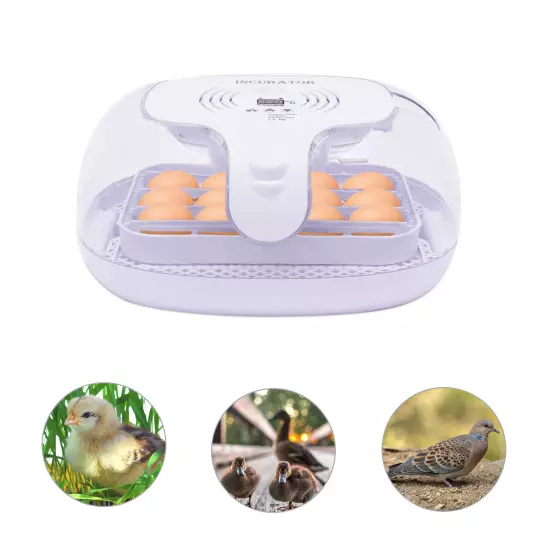 16 Eggs Incubator Digital Egg Hatcher Chicken Egg Automatic Turner Humidity NEW