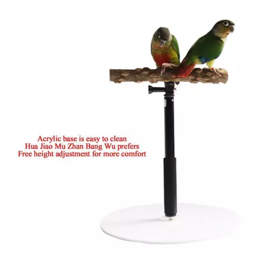 Stable Bird Parrot Training Exercise Adjustable Playstand Cage DD