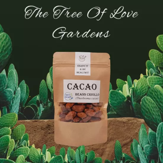 Cacao Beans Whole | Criollo | Organic | Theobroma Cacao | Cocoa Beans | Premium