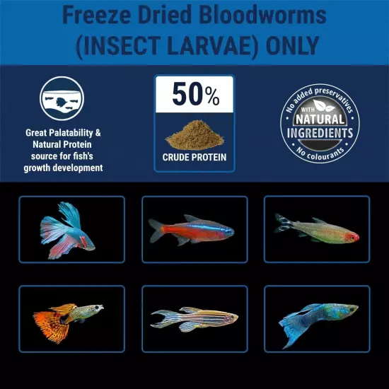 Bloodworms Freeze Dried Grade "A" Pets Fish Food Blood Worms Betta Freshwater