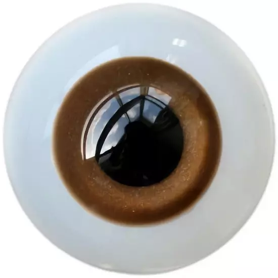 [wamami Hand Made 6-24mm Brown Glass Eyes Eyeball BJD Doll Dollfie Reborn Crafts