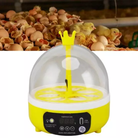 Automatic Egg Incubator Mini 4 Egg Temperature Humidity Control Auto Turner