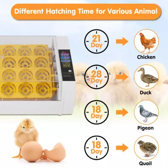 24 Egg Incubator, Automatic Digital Chicken Egg Hatcher Turning Temperature and 