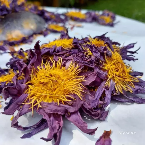 Dried Blue Lotus Flower Nymphaea Caerulea Natural Hand Picked Flower Herbal Tea*