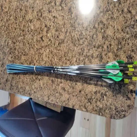 Two Compound Bows