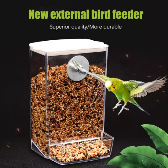 Bird Feeder Cage Accessories Integrated Feeding Viewing Feeders Birds Supplies