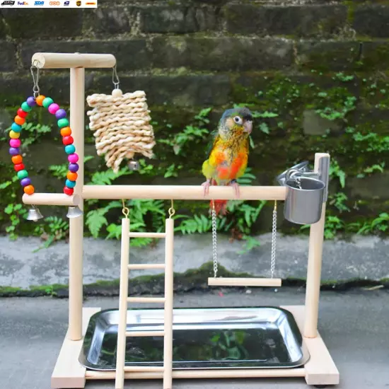 Bird Playground Perch Stand Feeding Cups Swing Climbing Ladder Parrot Playstand 