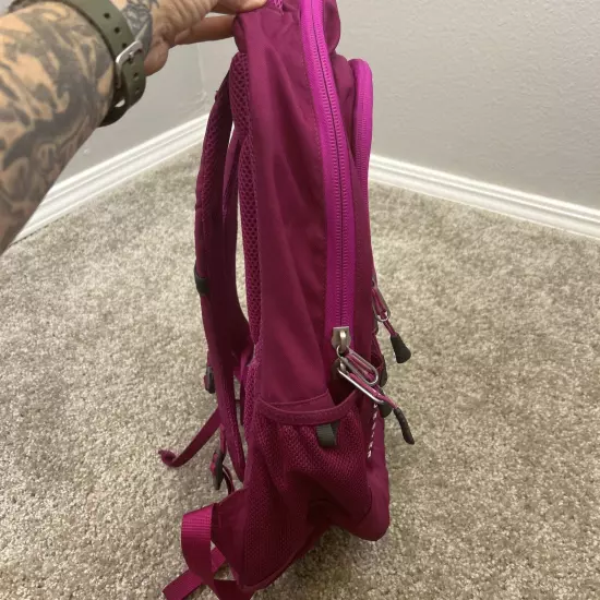 The North Face Jester Backpack Bright Fuchsia Hiking/ School Back Pack