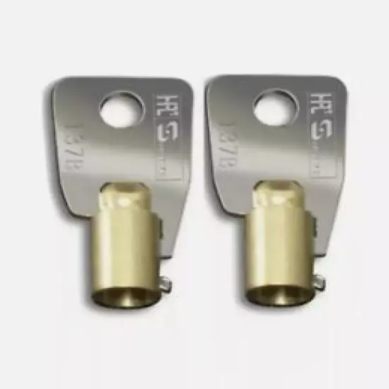 02 Gunvault Keys Replacement Keys for Gunvault Safes 2-Keys Code 02 Gunvault Key