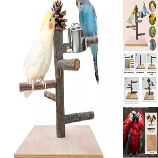 Bird Stand Perch with Feeder Cups Dishes, Parrot Perch, bird perch with cups