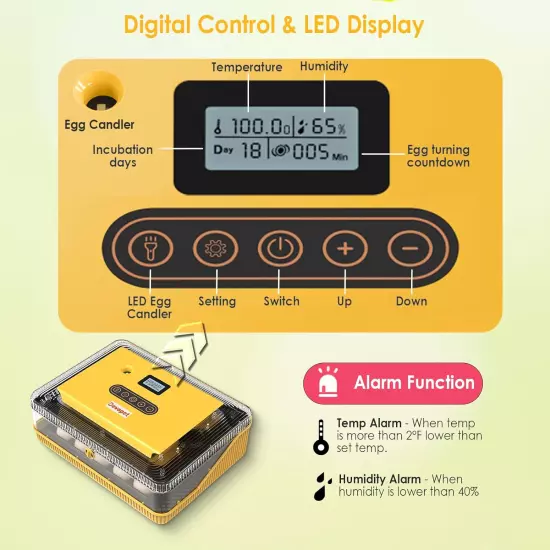 Incubators Hatching Eggs 25 Incubator Automatic Egg Turning Humidity Control Egg