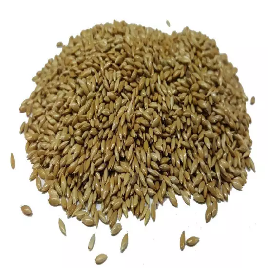 Alpiste Canary Seeds Alpista birds food scagliola 2.20 lbs - 1.10 lbs - 0.55 lbs