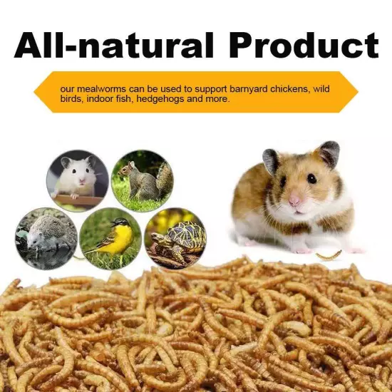 LuckyQworms Dried Mealworms High-Protein Bulk Mealworms 22Lbs 100% Non-GMO Me...