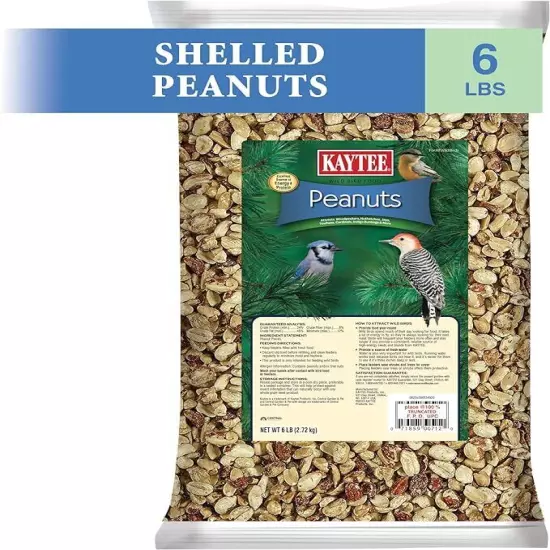 Shelled Peanuts For Wild Birds for Blue Jays, Red Bellied Woodpeckers, and Nutha