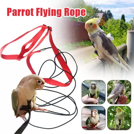 Adjustable Bird Fly Harness Leash Rope Birds Parrot Outdoor Free Flight Training