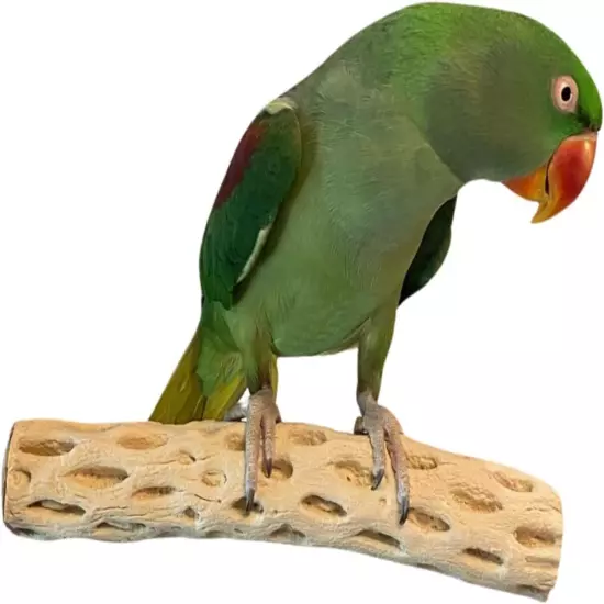 Polly's Pet Products Manu Mineral Bird Perch Size Small 6inch Parrot Bird Perch