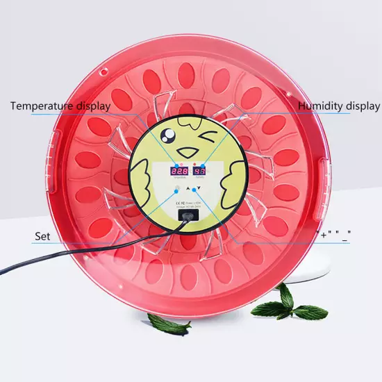 Egg Incubator 30 Eggs- Automatic Turning Egg Hatcher Machine Digital