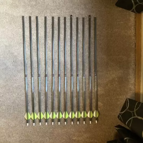 16 Blackout Envy X5 Carbon Arrows