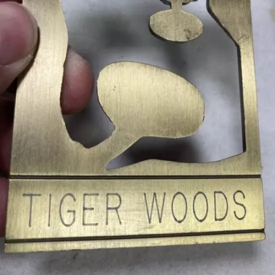 Vintage TIGER WOODS Golf Bag Tag TCP Sawgrass 