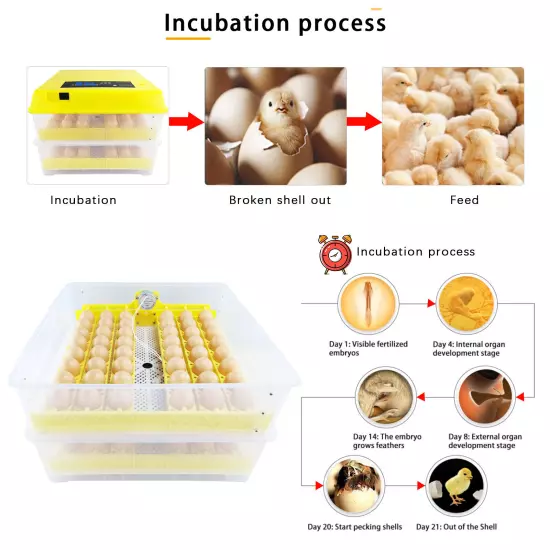 48/56/96 Digital Eggs Incubator Egg Hatcher Temperature Control Automatic 80W