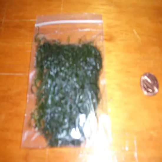 Java Moss Vesicularia Dubyana Easy Live Aquarium Plants