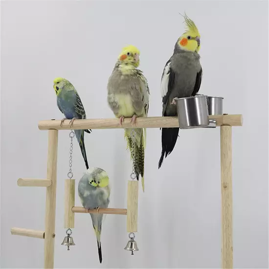 Bird Life Activity Center, Pet Stand Platform Parrot Toys for Small Birds, Bi...