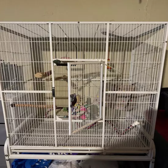 bird cage