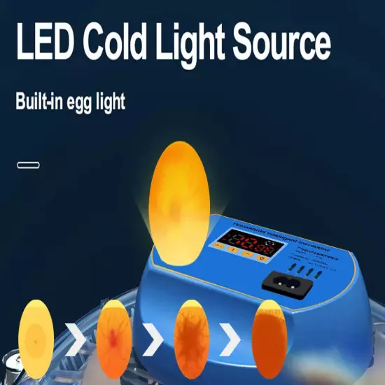 80 Egg Fully Automatic Incubator Hatching Machine Chicken Eggs Brooder Reservoir