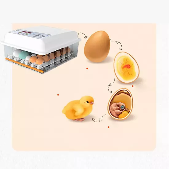 Egg Incubator 64 Eggs Fully Digital Automatic Hatcher Fit Hatching Chicken Farm